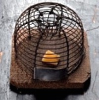 Mousetrap with cheese