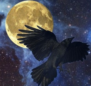 Crow in the space