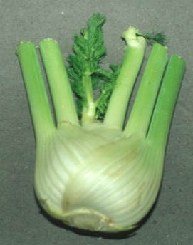 Paprastasis pankolis