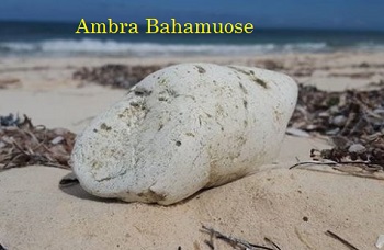 Ambra Baham� pakrant�je