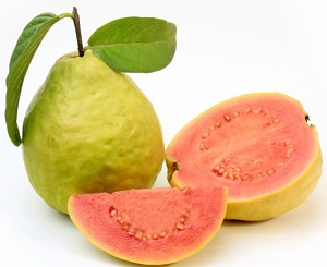 Guava vaisius