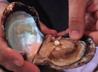 Theophrastus. Perlas kriaukl�je