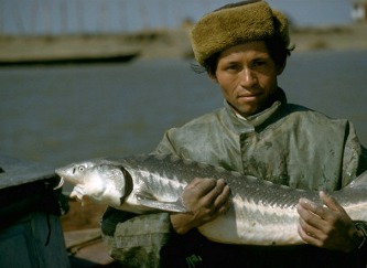Fish of Volga