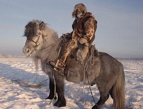 Yakut rides