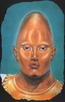 Polinesian navigation