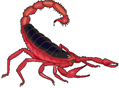 Skorpionas, Scorpion