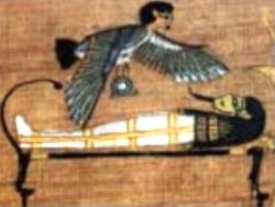 Ba, flying over corp