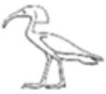 Ibis as akh