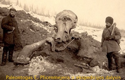 Pficenmejeris prie Bereziovkos mamuto