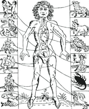 Mas and Zodiac Signs