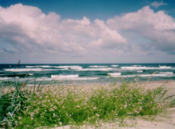 Curonian Spit and Nida. At beach. View to Baltic sea