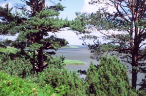 view from Th.Mann summer house place