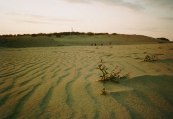 Curonian Spit and Nida. Parnadzio kopa