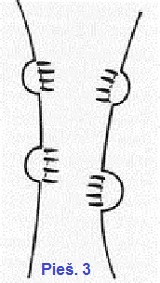 Hansonas. Atradimo modelis