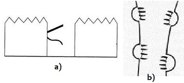 siminimas inant prasm