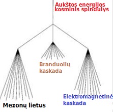 Mezonų lietus