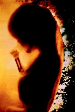 Asmuo; asmenyb; embrionas; Personhood