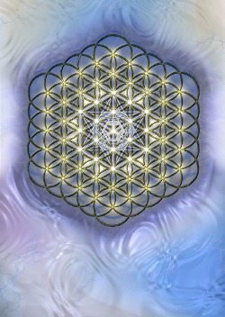 Vission of Stillness