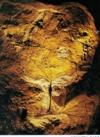 Ancient leaf