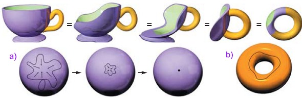 Cup transformation into Ring