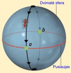 Apie ems rutul einanti skruzdl
