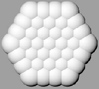 Rutulinė gyvenimo gėlelė