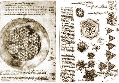 Leonardo da Vinči gėlelė