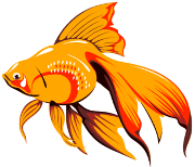Golden Fish