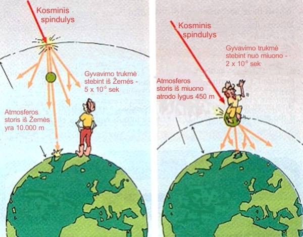 Observer riding with the muon