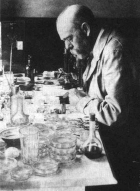 Robert Koch