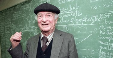 Linus Paulig