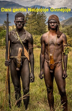 Dani; Naujoji Gvineja. Penio apdangalai