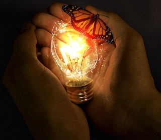 Naujovės, permainos