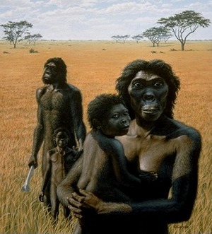 Australopithecus Afarensis