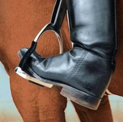 Horse Stirrup