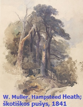 W. Muller. Heath pušys, 1841